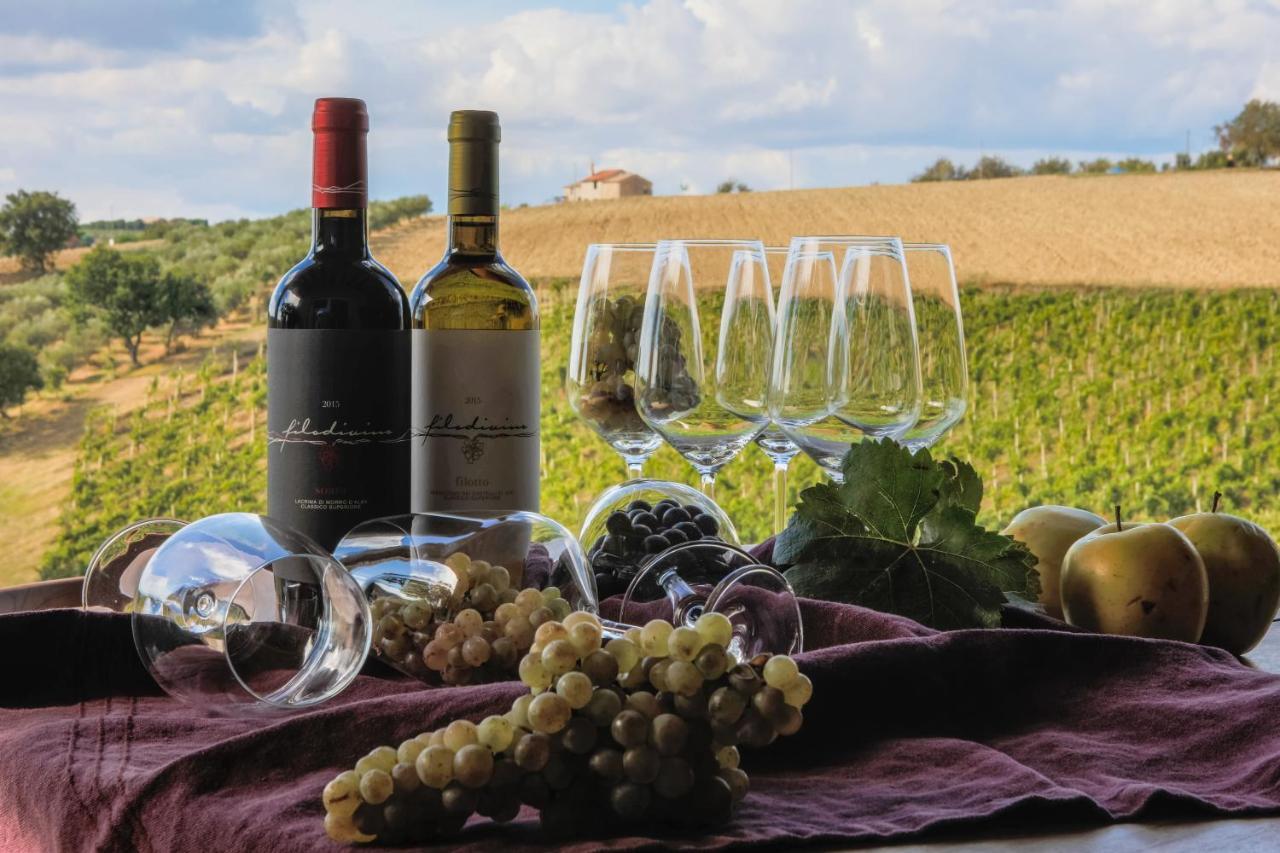 Filodivino Wine Resort & Spa San Marcello  Exterior photo
